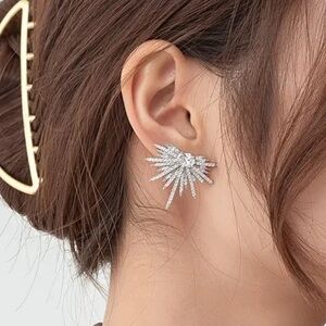 High-end Luxurious And Stylish Earrings With Shiny Wing Design